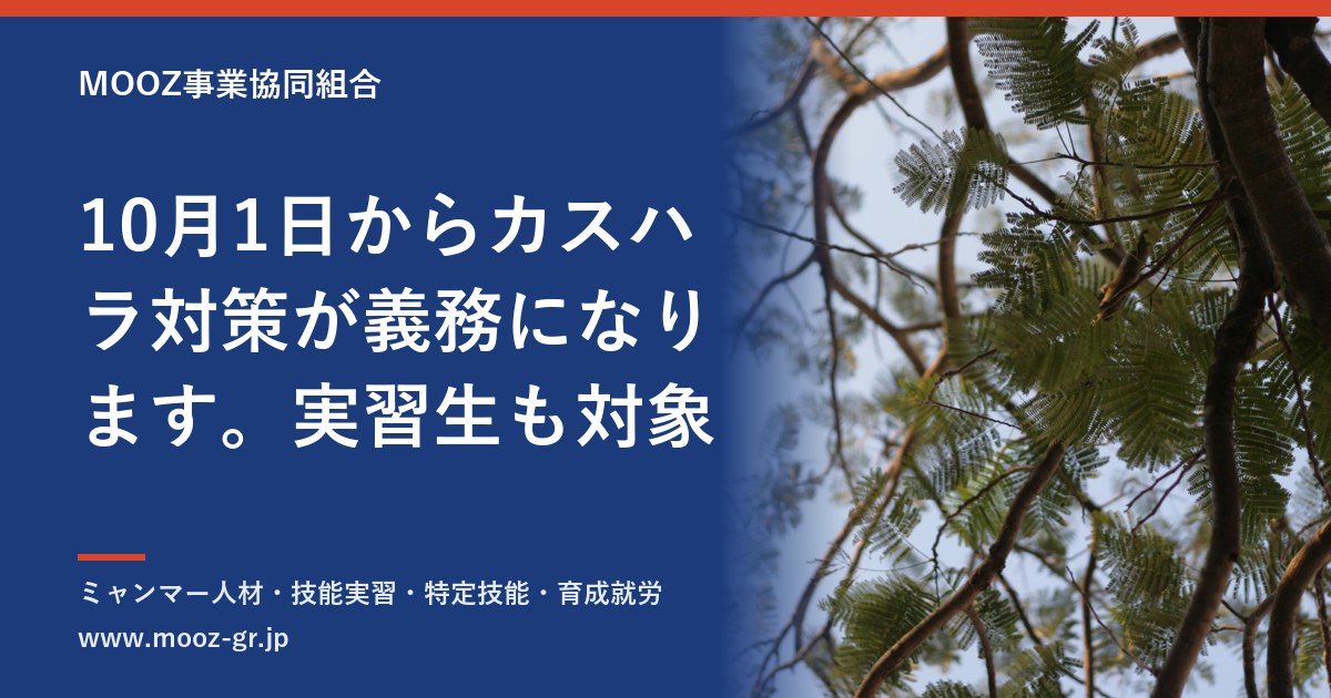 10月1日からカスハラ対策が義務になります。実習生も対象
