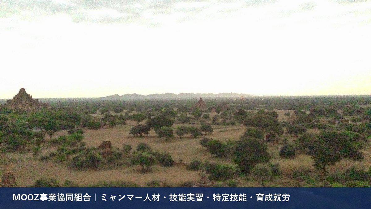 MOOZ事業協同組合