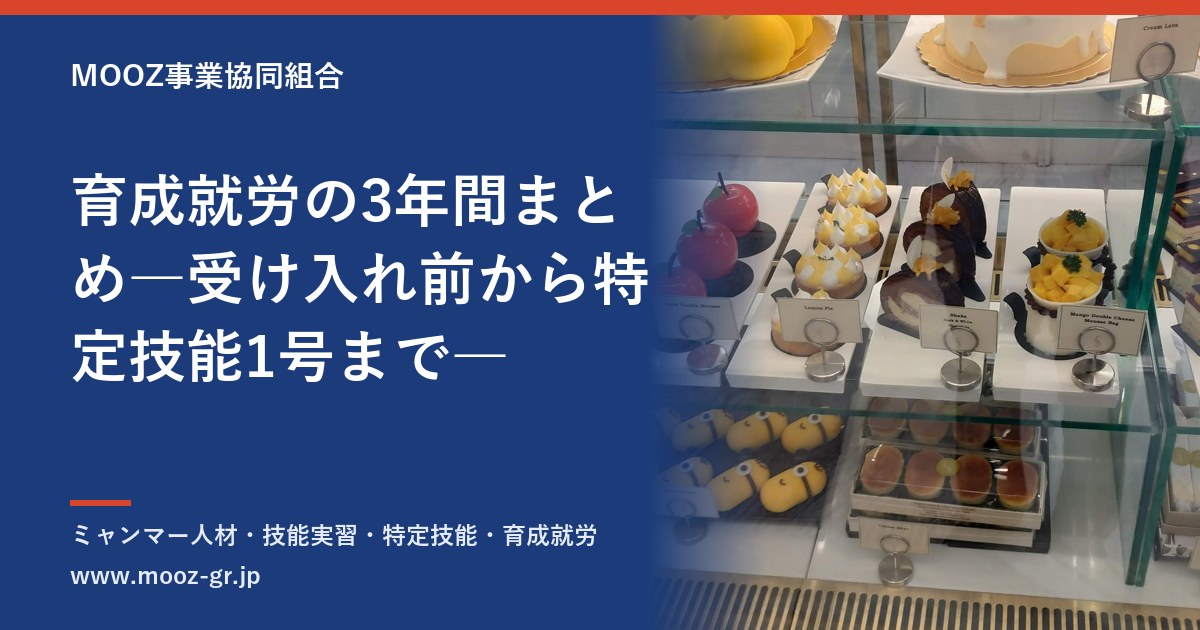 育成就労の3年間まとめ―受け入れ前から特定技能1号まで―