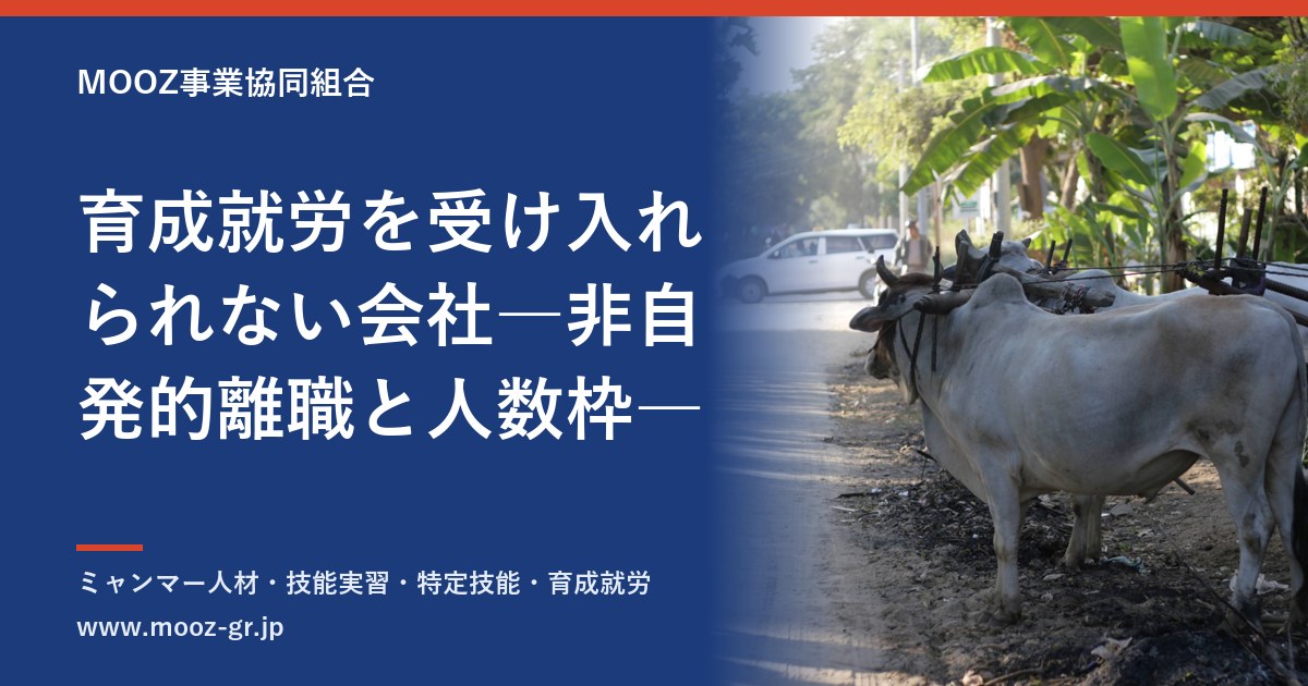 育成就労を受け入れられない会社―非自発的離職と人数枠―
