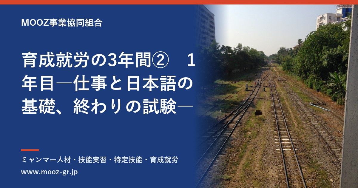 育成就労の3年間②　1年目―仕事と日本語の基礎、終わりの試験―