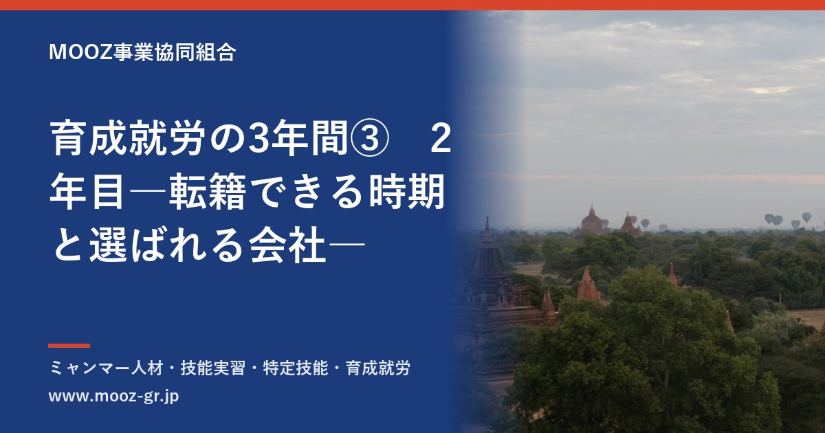 育成就労の3年間③　2年目―転籍できる時期と選ばれる会社―