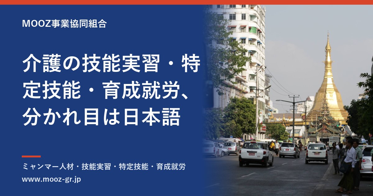 介護の技能実習・特定技能・育成就労、分かれ目は日本語