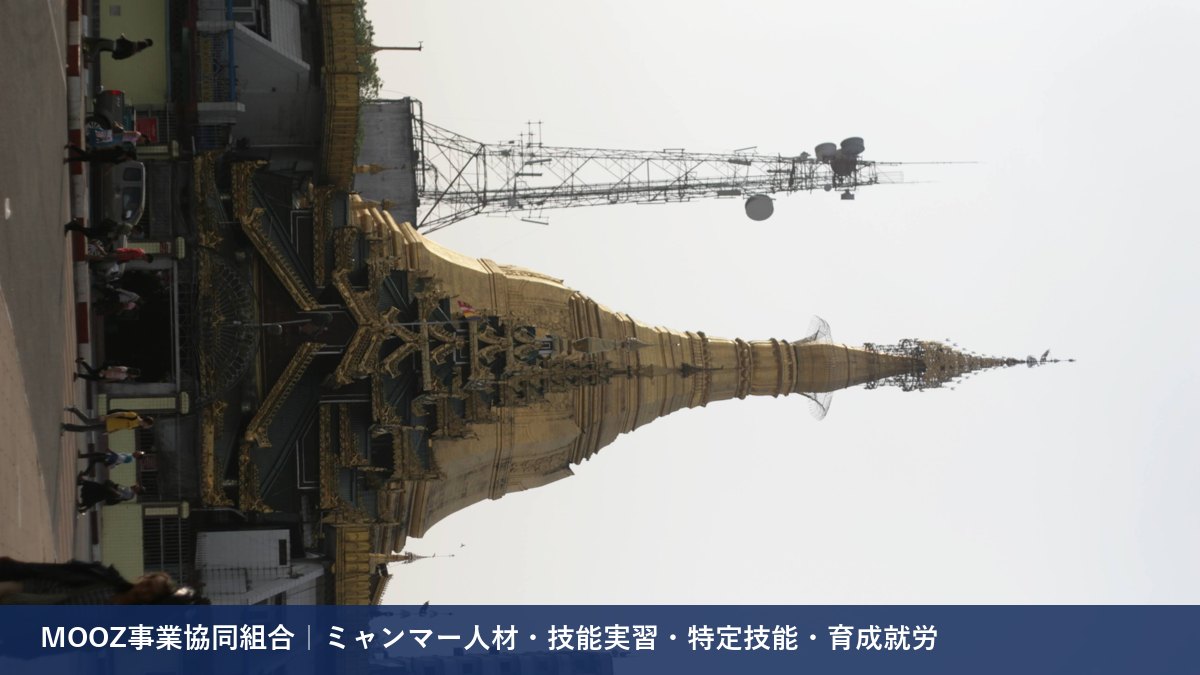MOOZ事業協同組合