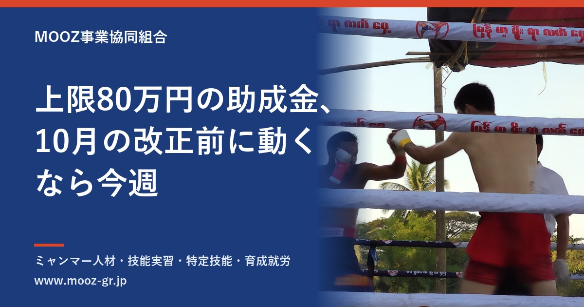 上限80万円の助成金、10月の改正前に動くなら今週