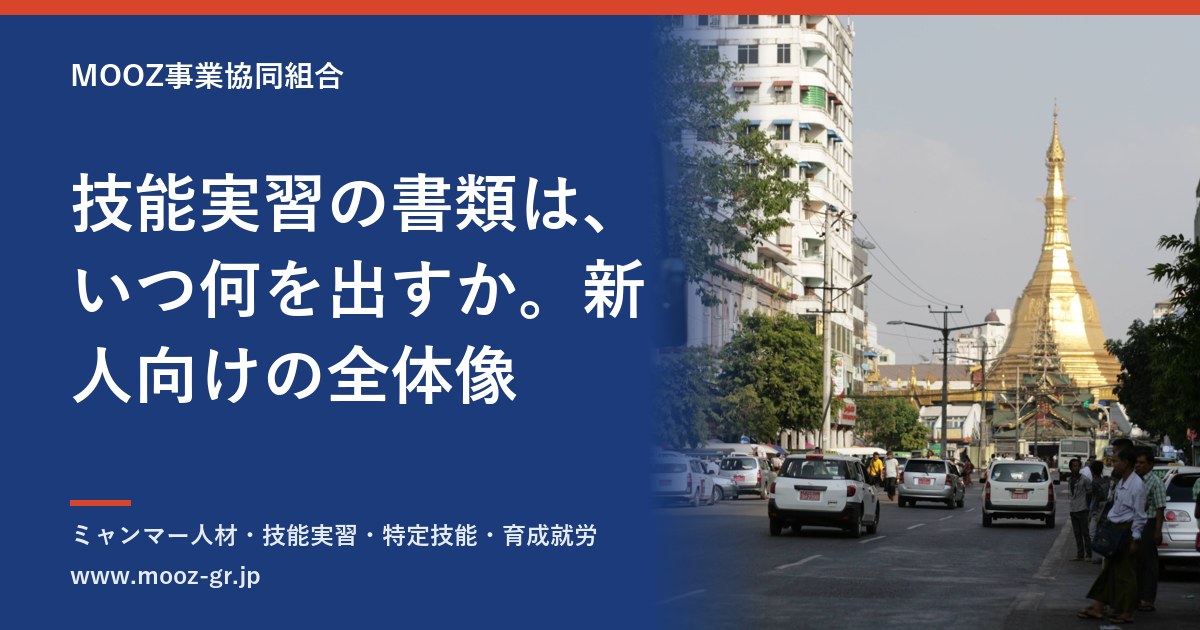 技能実習の書類は、いつ何を出すか。新人向けの全体像