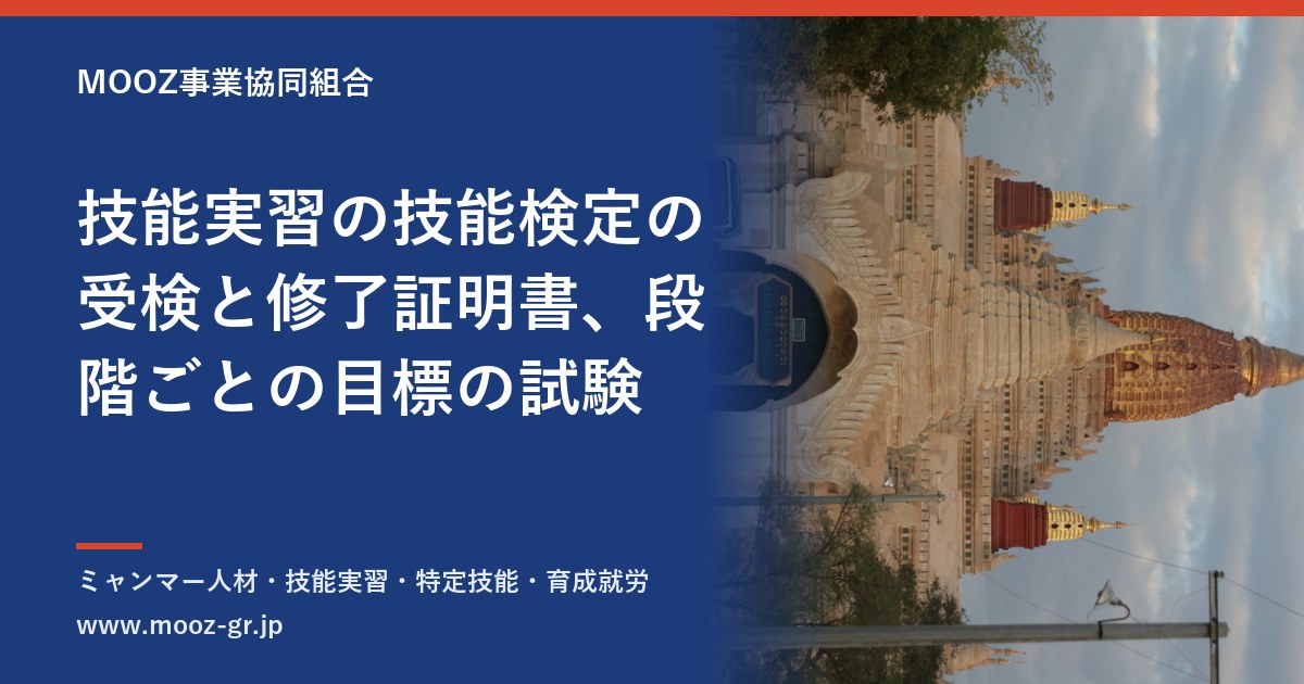 技能実習の技能検定の受検と修了証明書、段階ごとの目標の試験