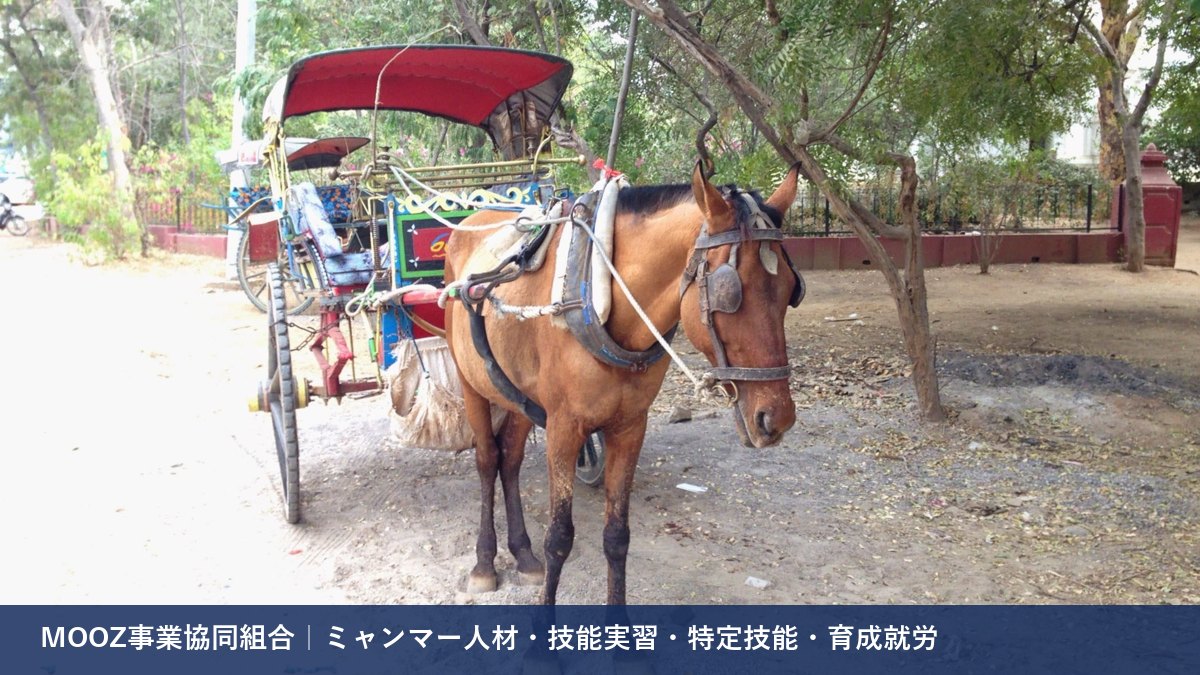 MOOZ事業協同組合